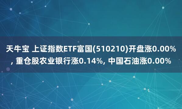 天牛宝 上证指数ETF富国(510210)开盘涨0.00%, 重仓股农业银行涨0.14%, 中国石油涨0.00%
